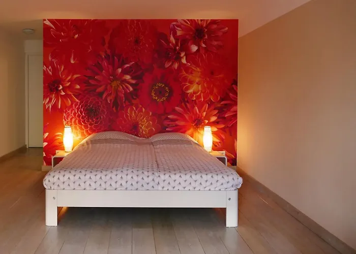 B&B Zondag